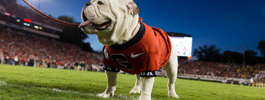 Get in with Uga X
